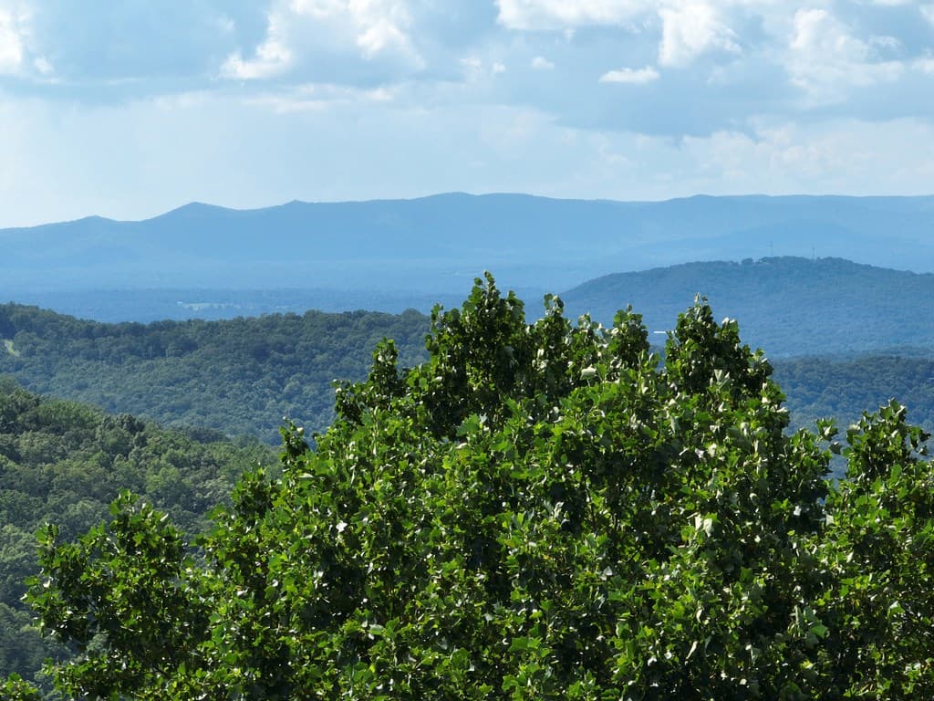 31 Highline Drive, Ellijay GA 30536 - Photo