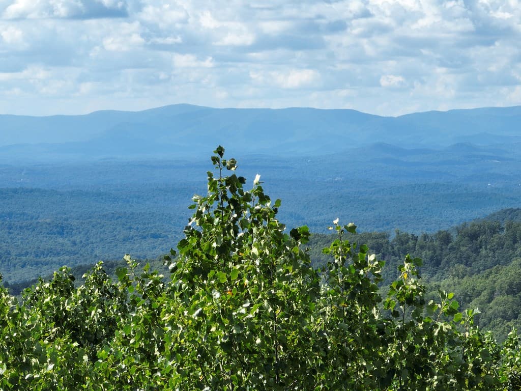 31 Highline Drive, Ellijay GA 30536 - Photo