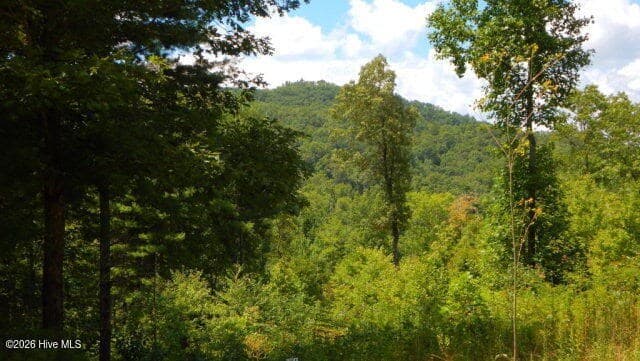 Lot 16 Tyler Ridge, Murphy NC 28906 - Photo