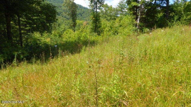Lot 16 Tyler Ridge, Murphy NC 28906 - Photo