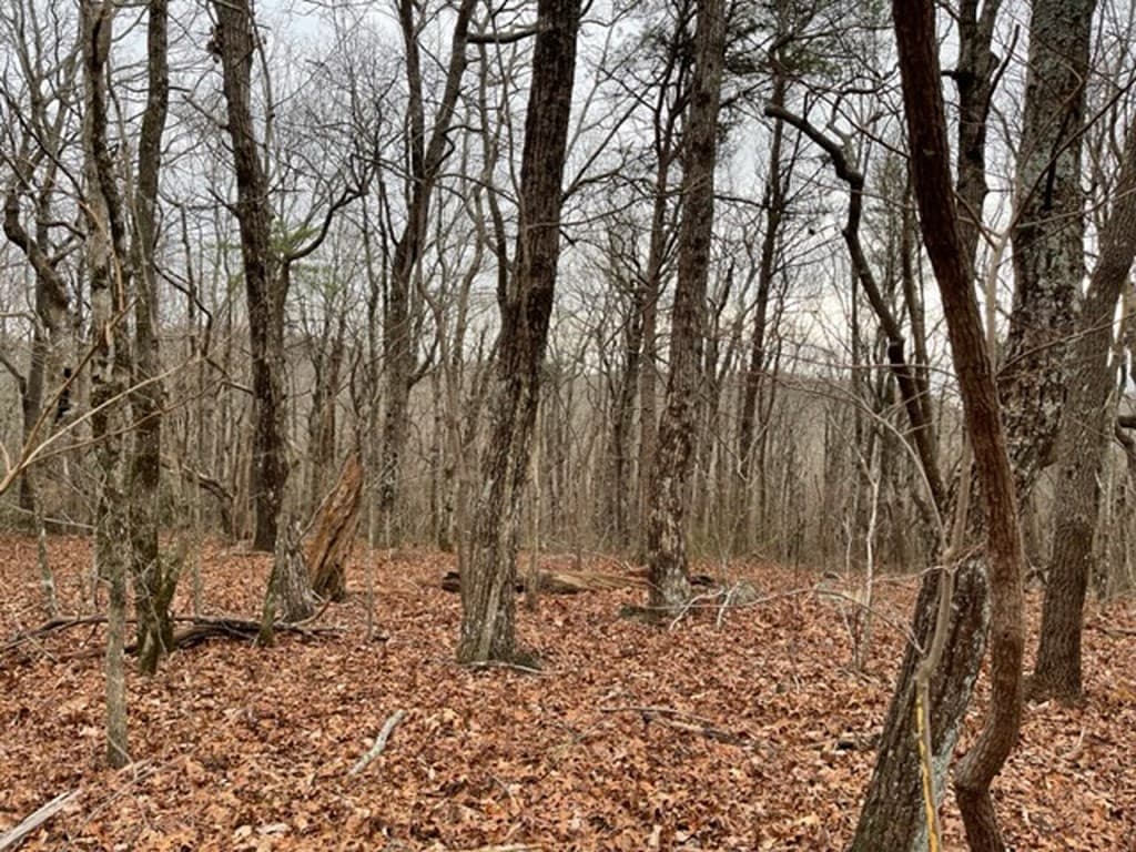 184 St Andrews Way, Ellijay GA 30536 - Photo