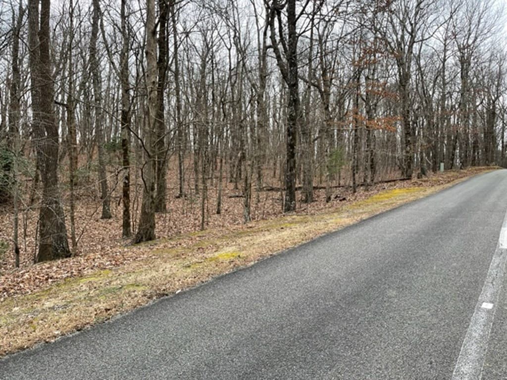 184 St Andrews Way, Ellijay GA 30536 - Photo
