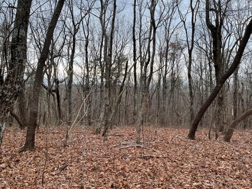184 St Andrews Way, Ellijay GA 30536 - Primary photo