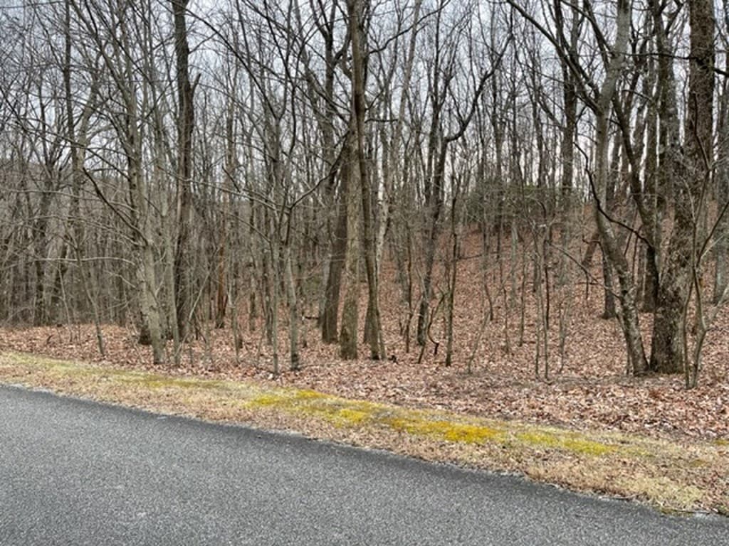 184 St Andrews Way, Ellijay GA 30536 - Photo