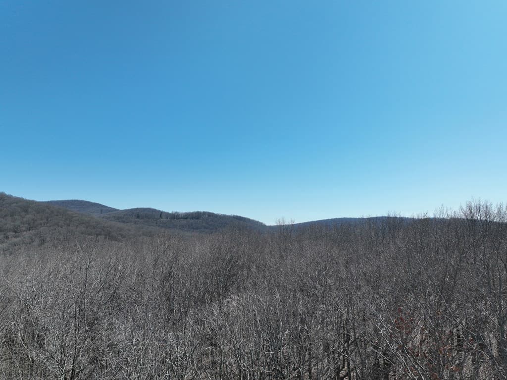 184 St Andrews Way, Ellijay GA 30536 - Photo