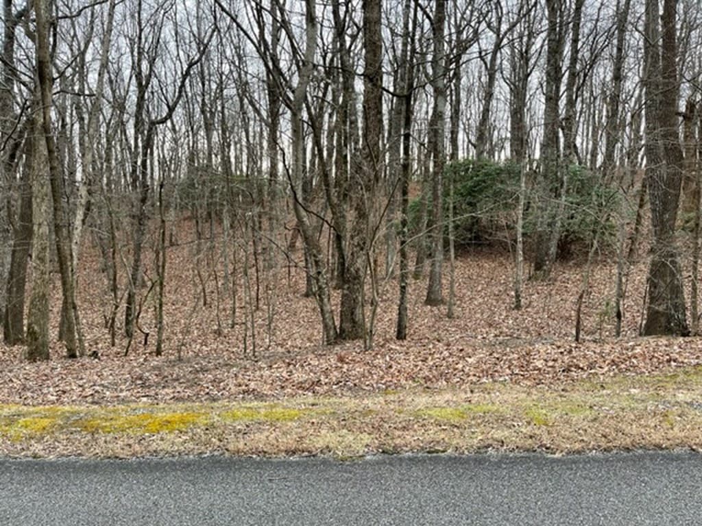 184 St Andrews Way, Ellijay GA 30536 - Photo