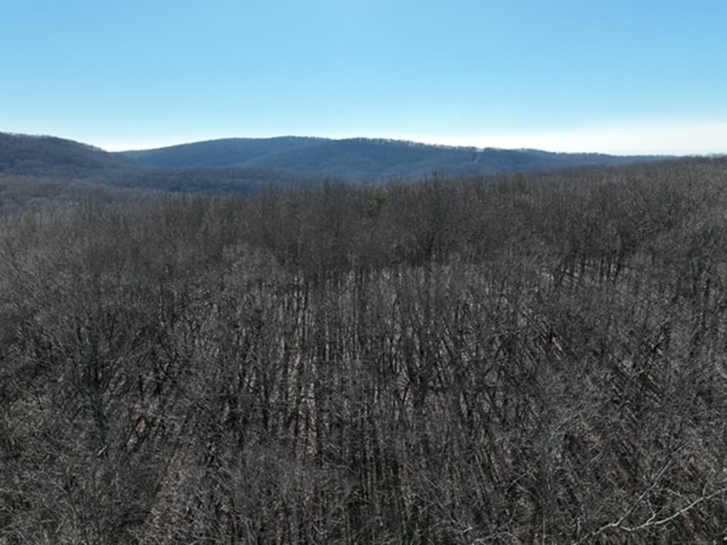 184 St Andrews Way, Ellijay GA 30536 - Photo