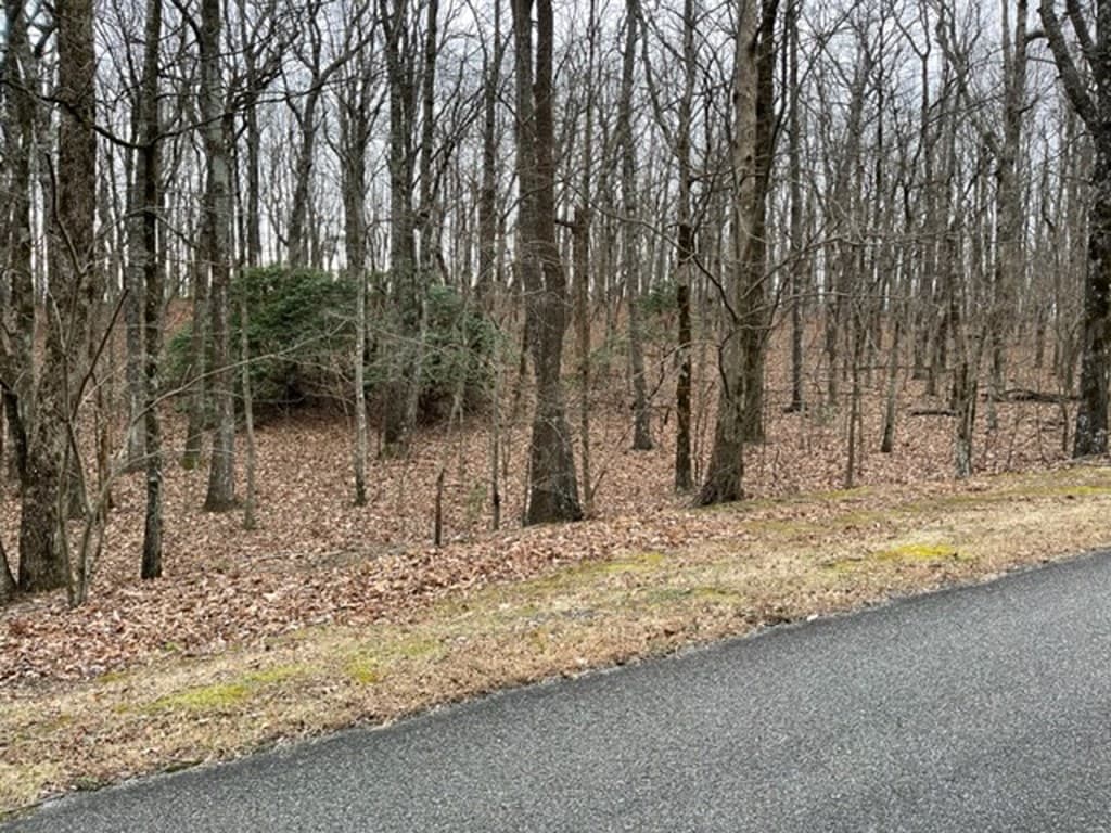 184 St Andrews Way, Ellijay GA 30536 - Photo