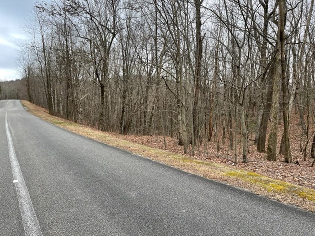184 St Andrews Way, Ellijay GA 30536 - Photo