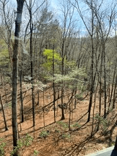 361 Bluebird Lane, Blue Ridge GA 30513 - Photo