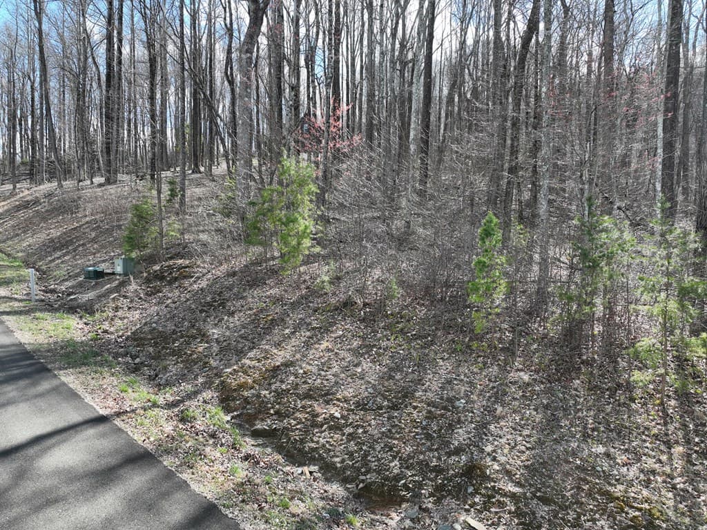 270R Stone Cliff Drive, Ellijay GA 30536 - Photo