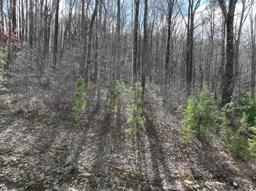 270R Stone Cliff Drive, Ellijay GA 30536 - Photo