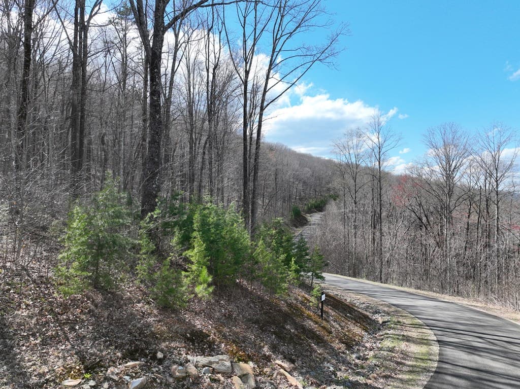 270R Stone Cliff Drive, Ellijay GA 30536 - Photo