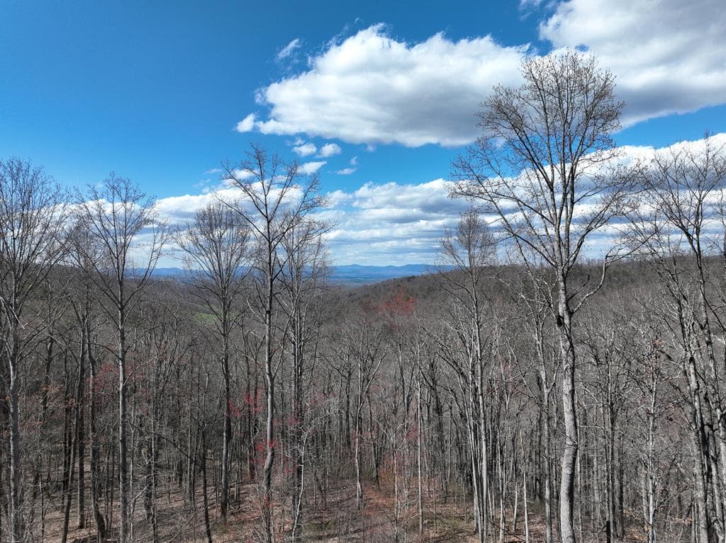 270R Stone Cliff Drive, Ellijay GA 30536 - Primary photo