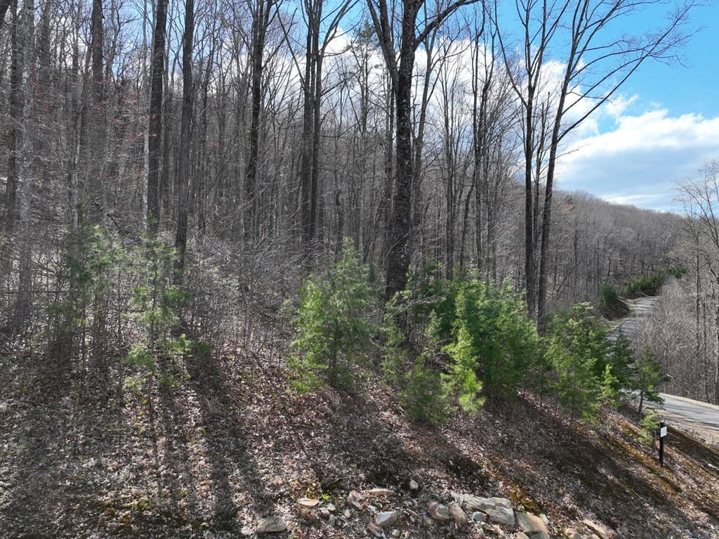 270R Stone Cliff Drive, Ellijay GA 30536 - Photo