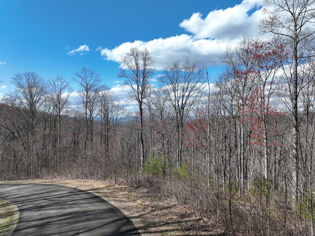 270R Stone Cliff Drive, Ellijay GA 30536 - Photo