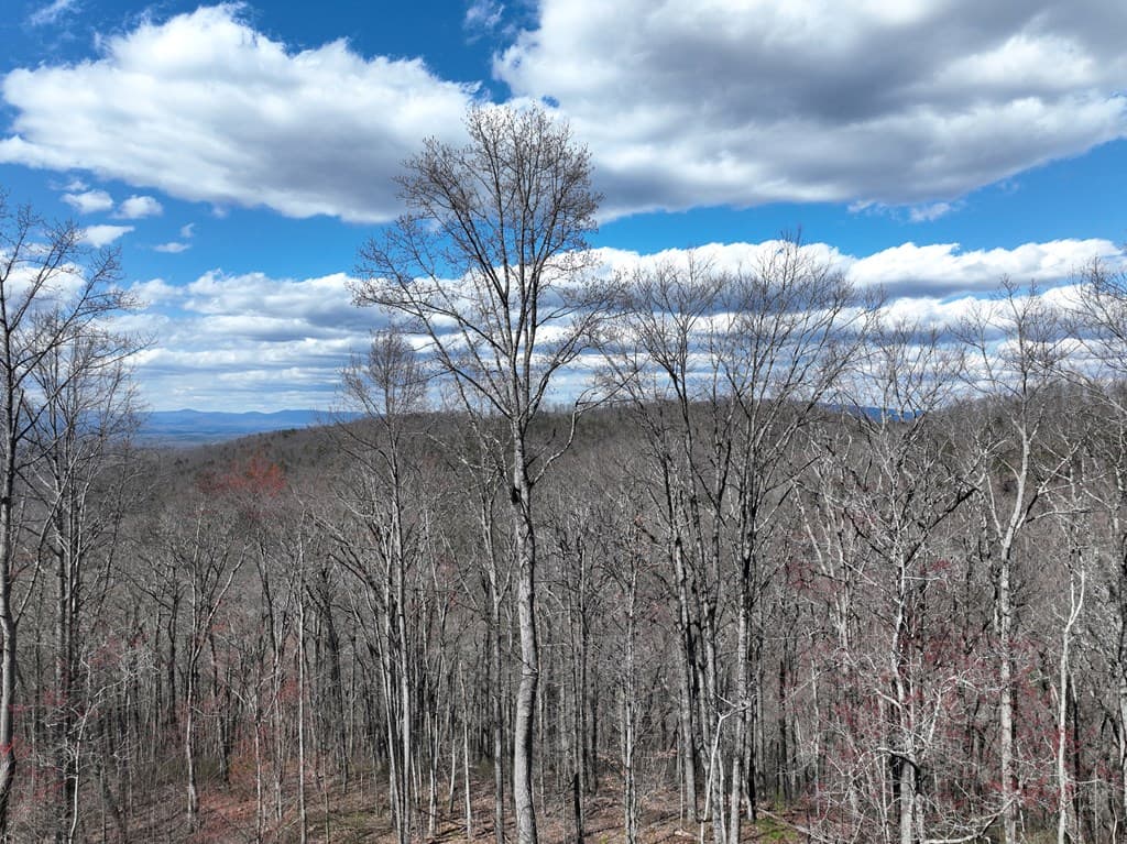 270R Stone Cliff Drive, Ellijay GA 30536 - Photo