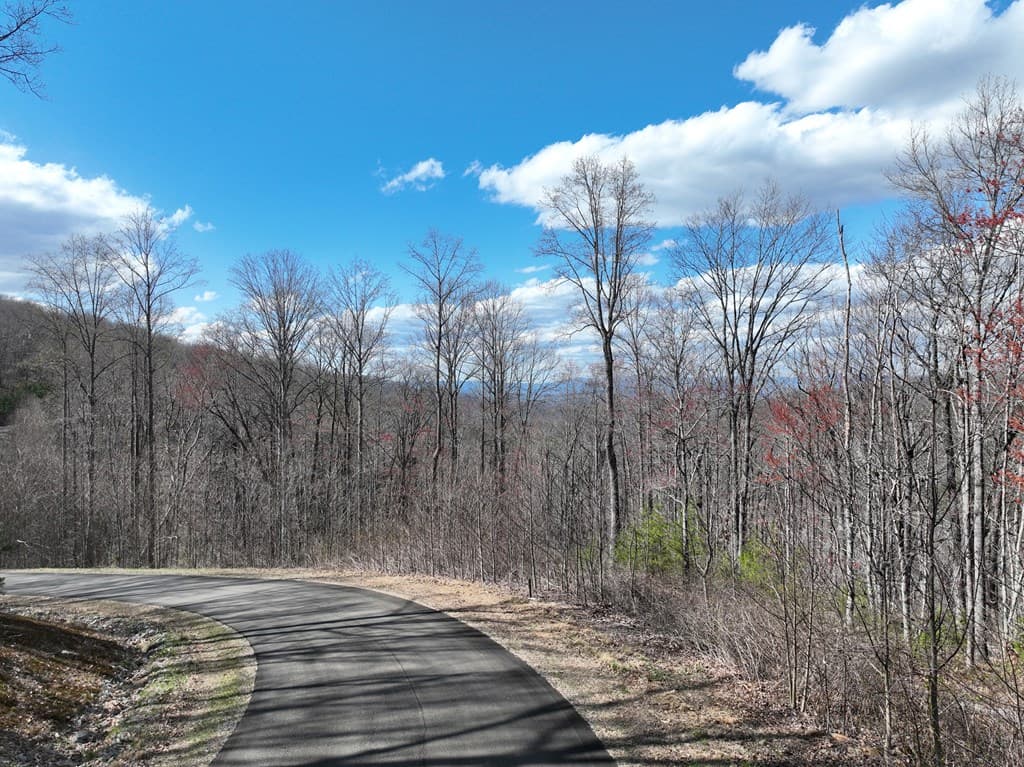 270R Stone Cliff Drive, Ellijay GA 30536 - Photo