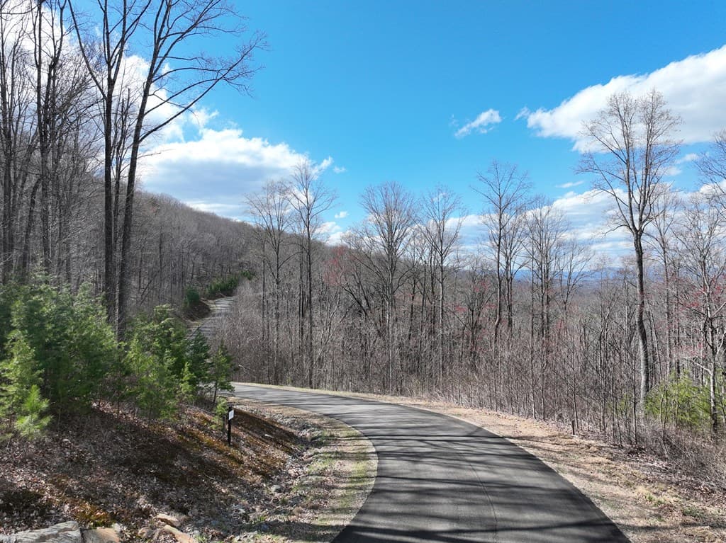 270R Stone Cliff Drive, Ellijay GA 30536 - Photo