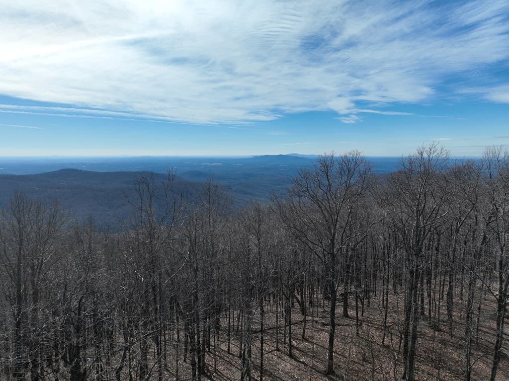 256 Blood Root Trail, Ellijay GA 30536 - Photo