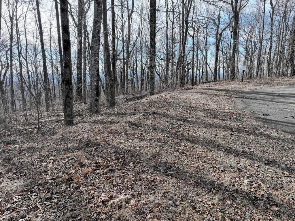 256 Blood Root Trail, Ellijay GA 30536 - Photo
