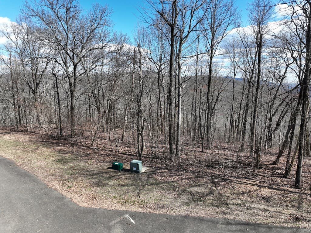 256 Blood Root Trail, Ellijay GA 30536 - Photo