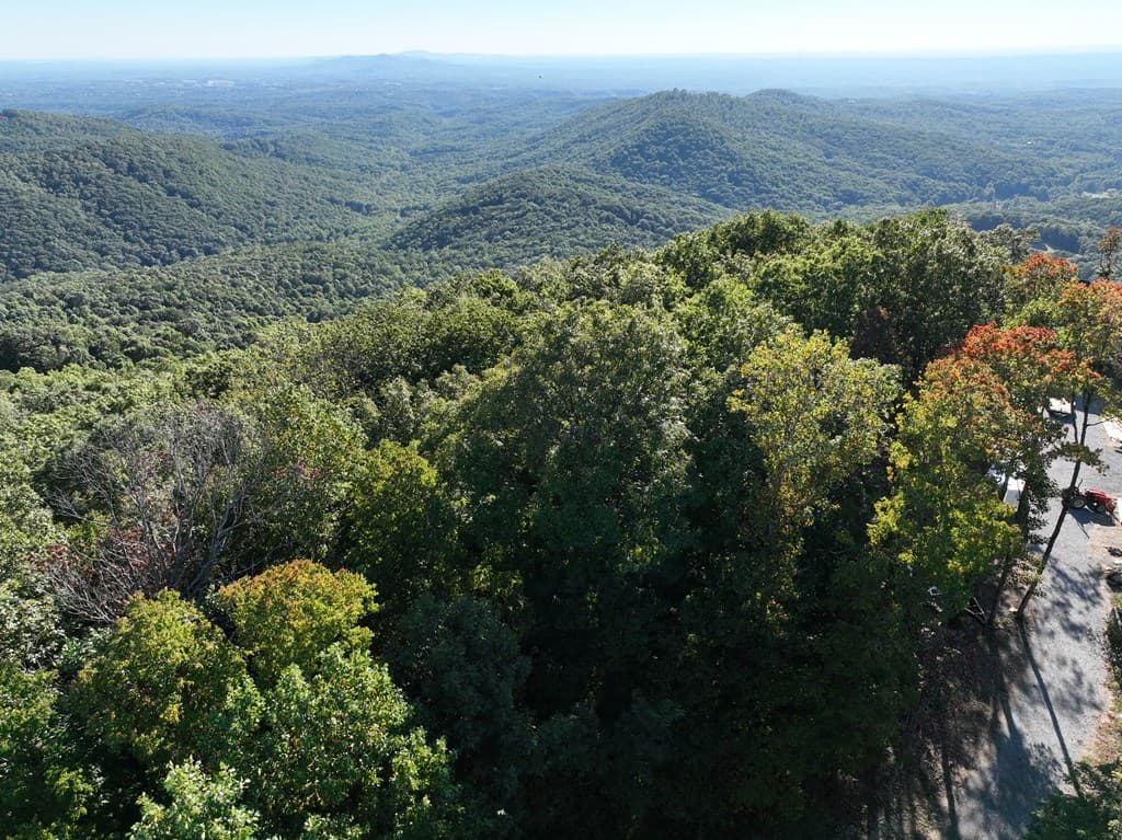 256 Blood Root Trail, Ellijay GA 30536 - Photo