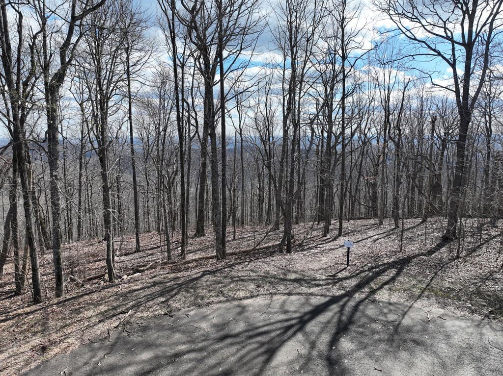 256 Blood Root Trail, Ellijay GA 30536 - Photo