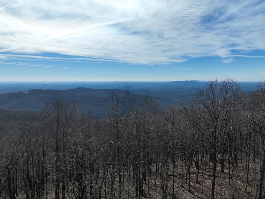 256 Blood Root Trail, Ellijay GA 30536 - Photo