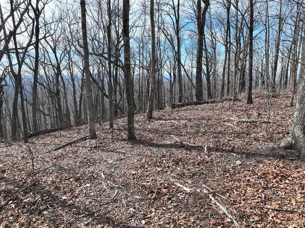 256 Blood Root Trail, Ellijay GA 30536 - Photo