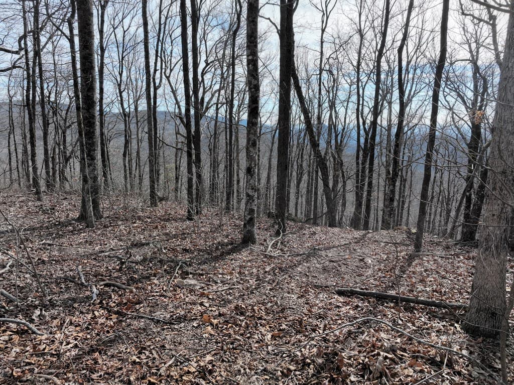 256 Blood Root Trail, Ellijay GA 30536 - Photo