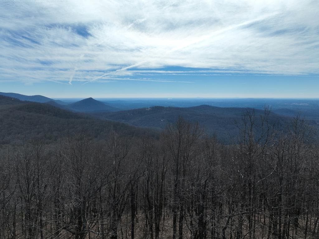 256 Blood Root Trail, Ellijay GA 30536 - Primary photo