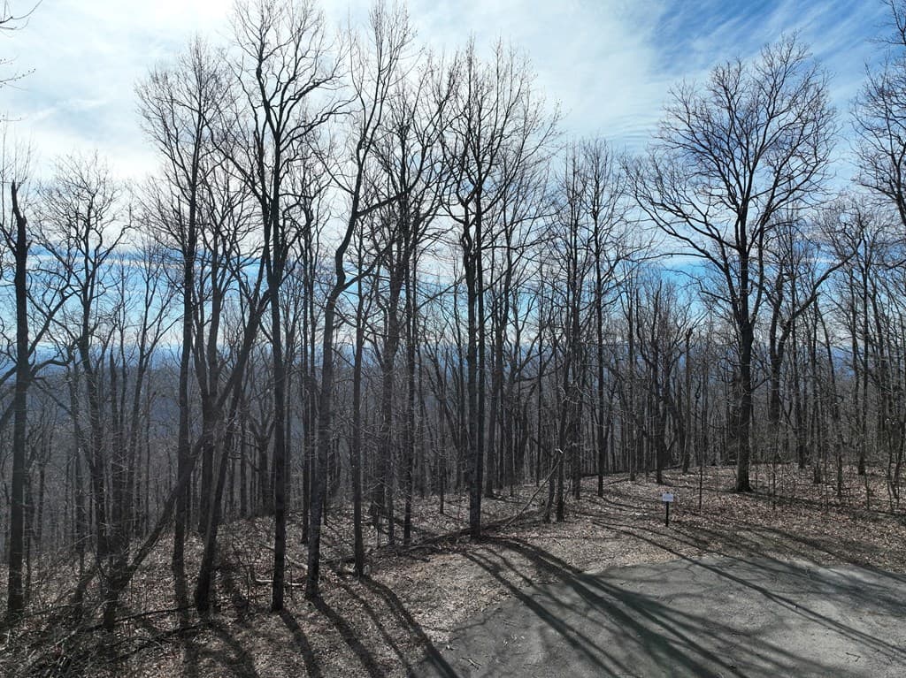 256 Blood Root Trail, Ellijay GA 30536 - Photo