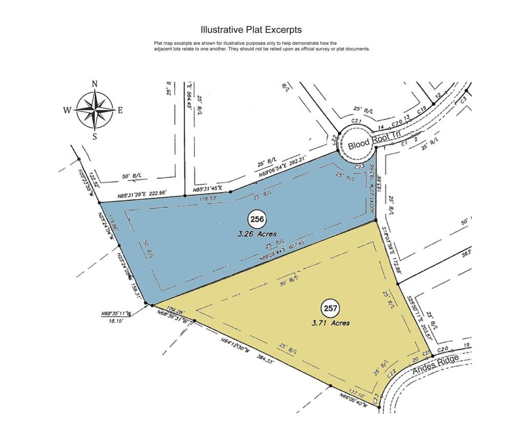 256 Blood Root Trail, Ellijay GA 30536 - Photo