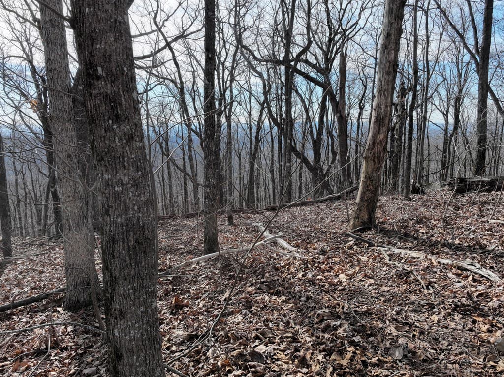 256 Blood Root Trail, Ellijay GA 30536 - Photo