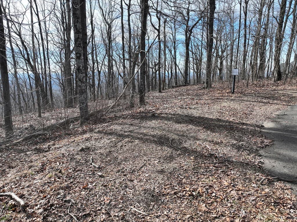 256 Blood Root Trail, Ellijay GA 30536 - Photo