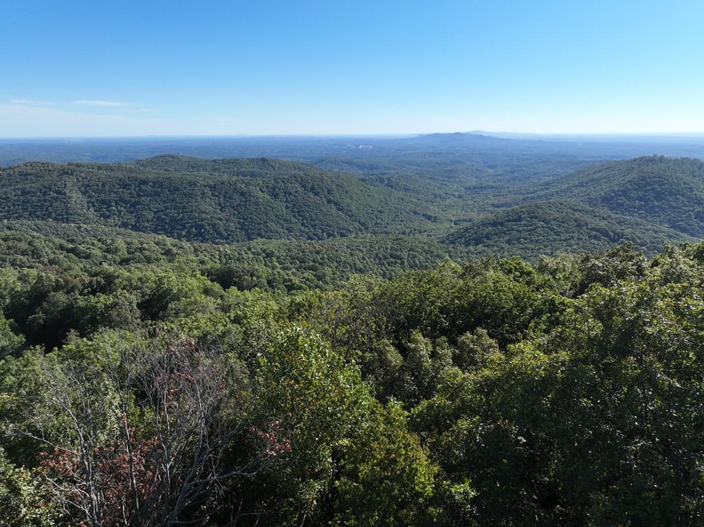256 Blood Root Trail, Ellijay GA 30536 - Photo