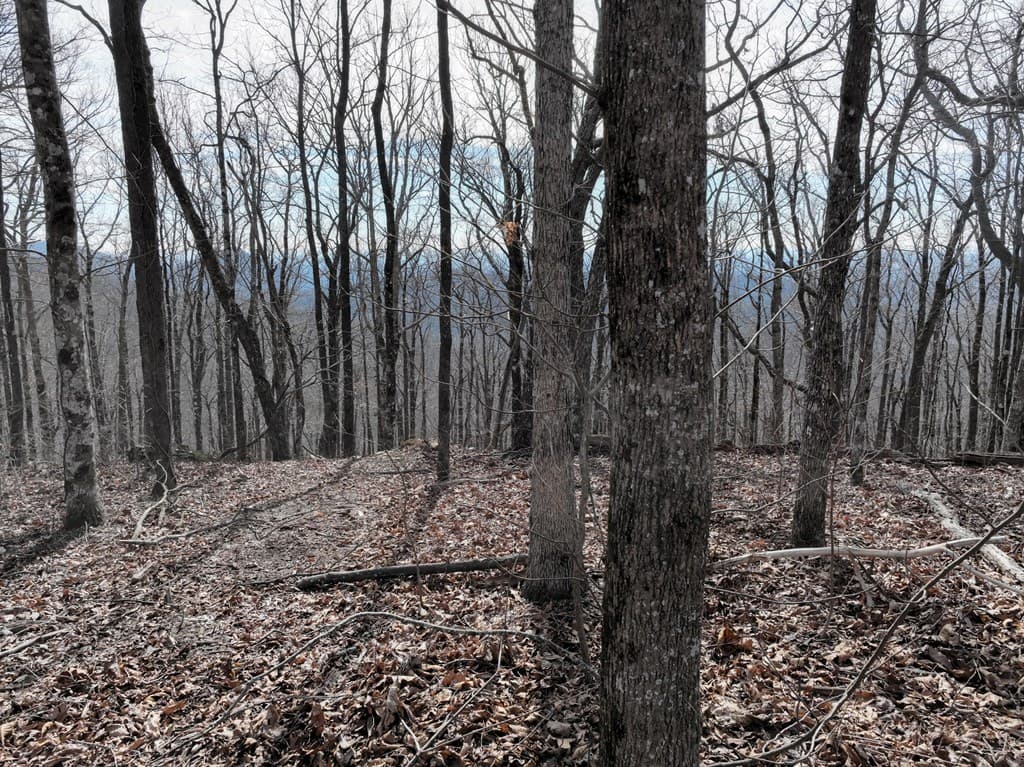 256 Blood Root Trail, Ellijay GA 30536 - Photo