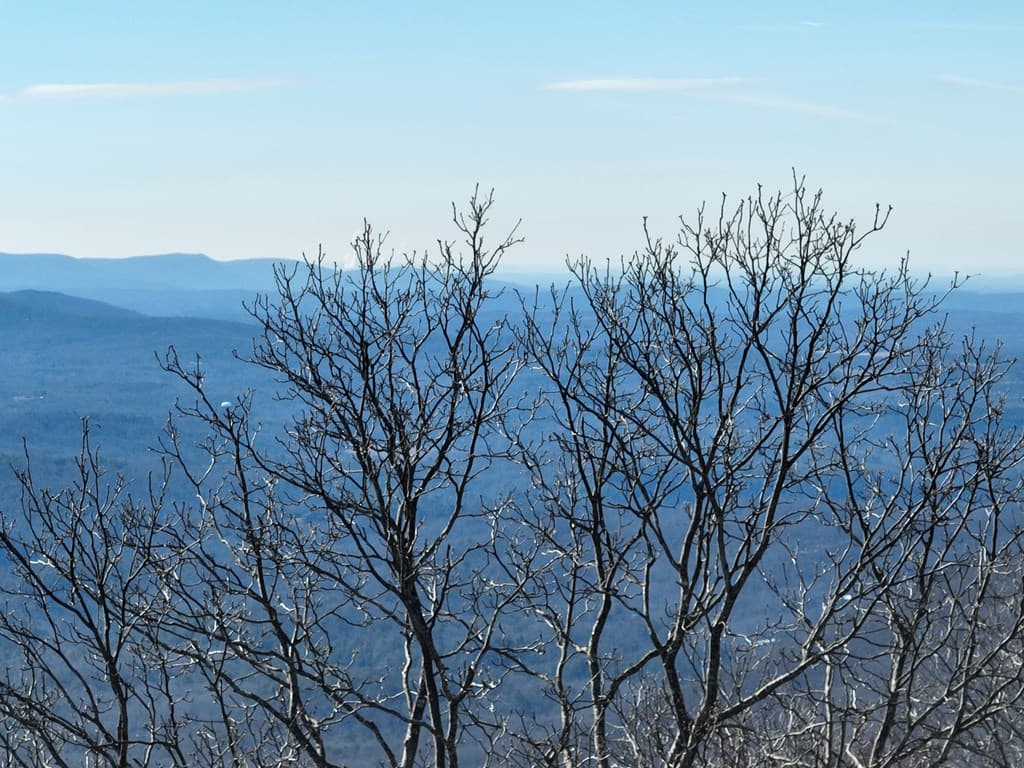 256 Blood Root Trail, Ellijay GA 30536 - Photo