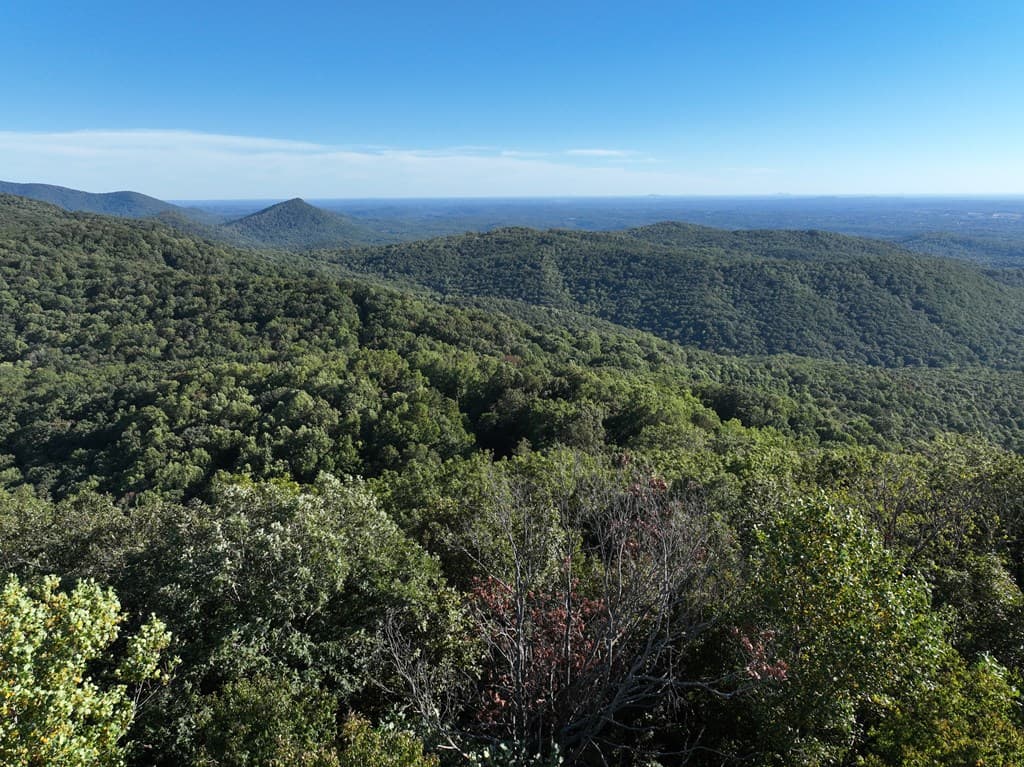 256 Blood Root Trail, Ellijay GA 30536 - Photo