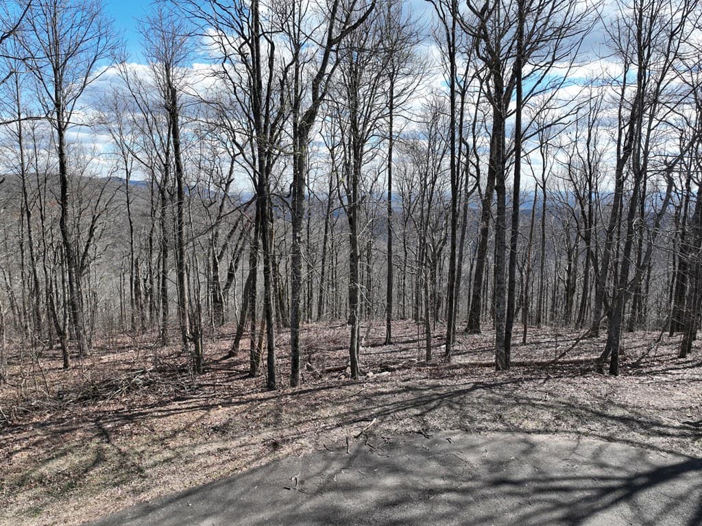 256 Blood Root Trail, Ellijay GA 30536 - Photo
