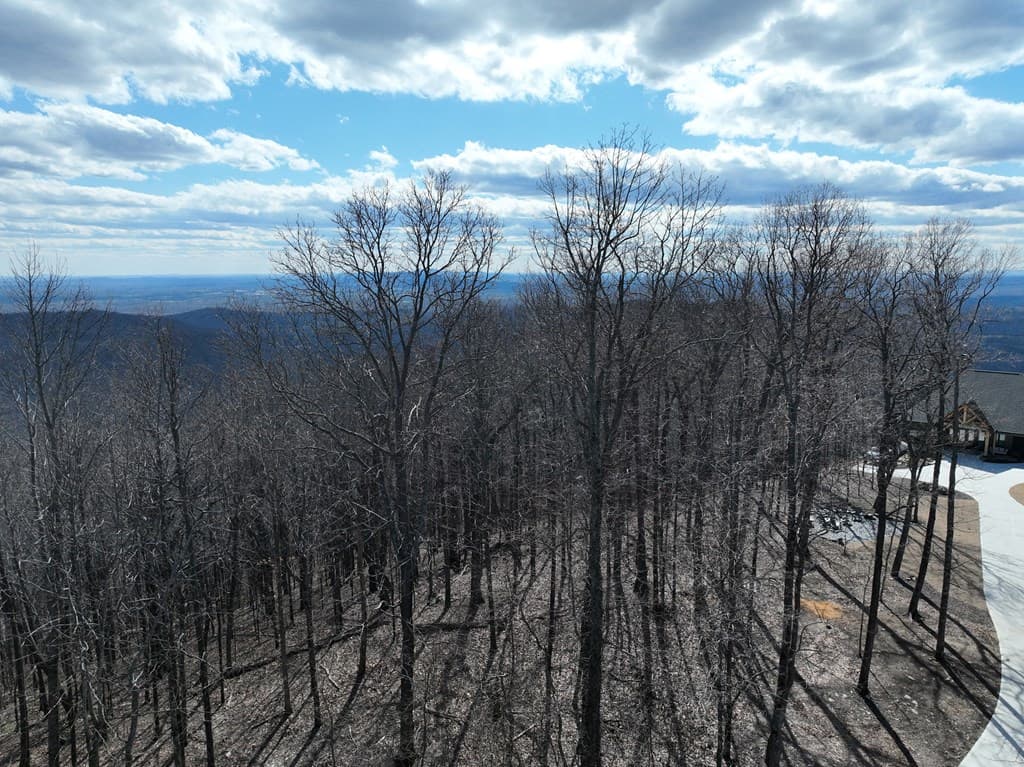 256 Blood Root Trail, Ellijay GA 30536 - Photo
