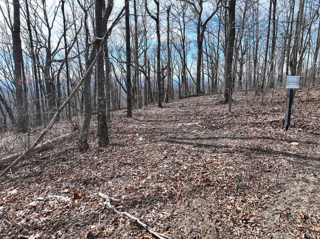 256 Blood Root Trail, Ellijay GA 30536 - Photo