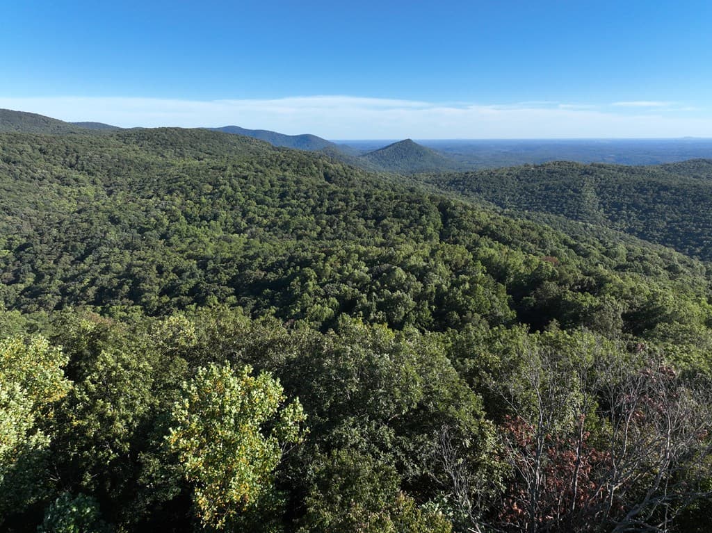 256 Blood Root Trail, Ellijay GA 30536 - Photo