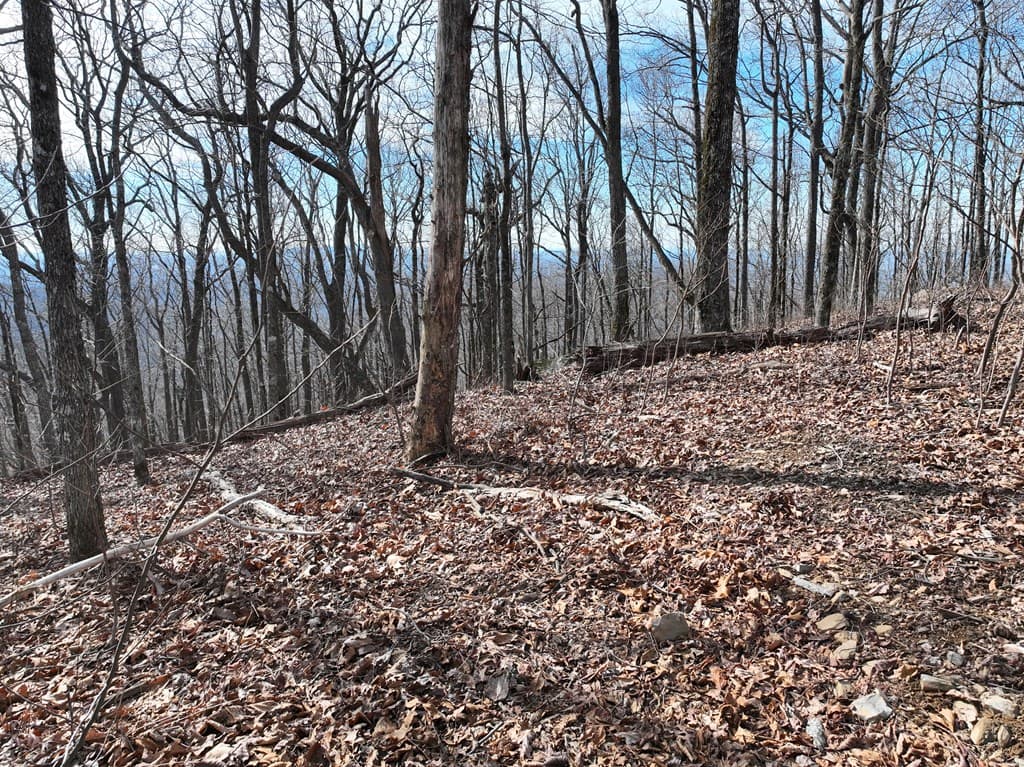 256 Blood Root Trail, Ellijay GA 30536 - Photo