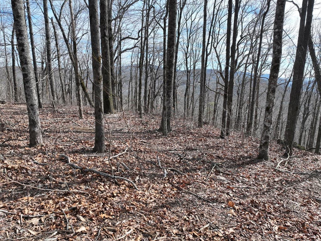 256 Blood Root Trail, Ellijay GA 30536 - Photo