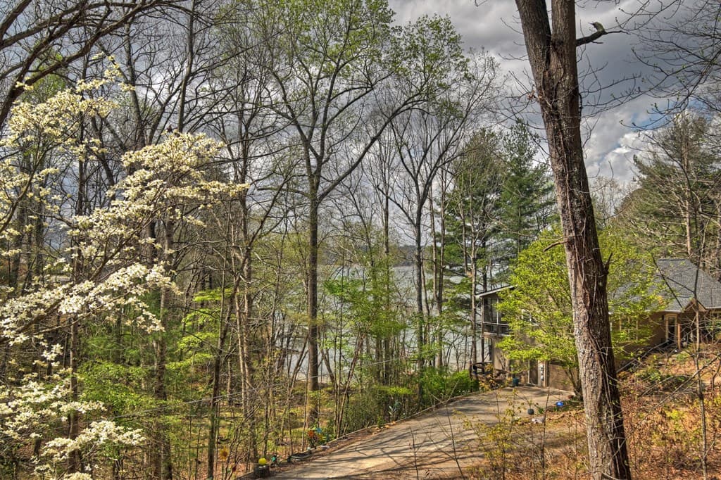 32 Lake Front, Morganton GA 30560 - Photo