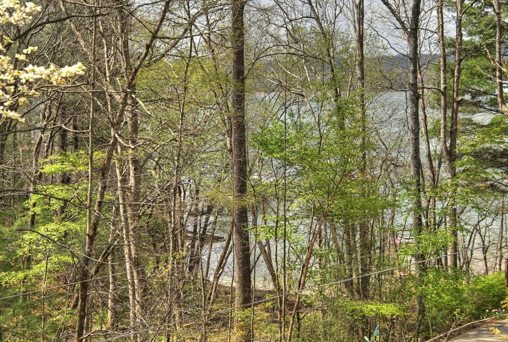 32 Lake Front, Morganton GA 30560 - Photo