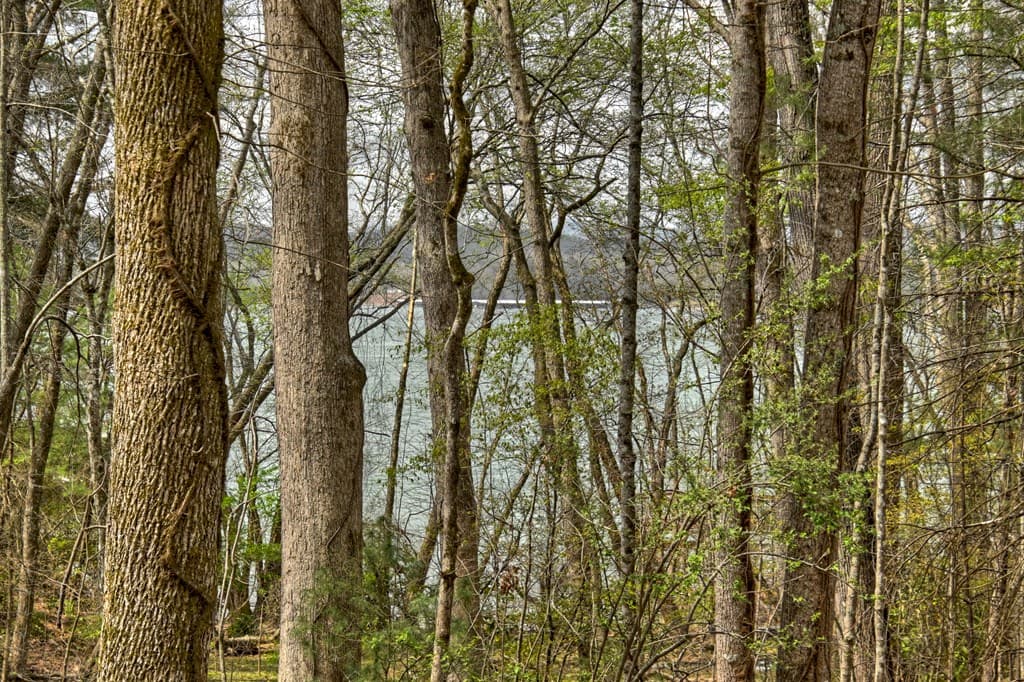32 Lake Front, Morganton GA 30560 - Photo