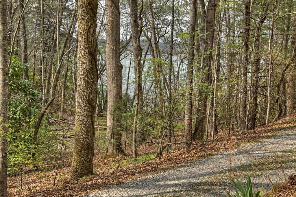 32 Lake Front, Morganton GA 30560 - Photo